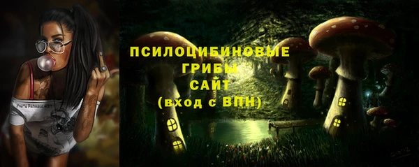 гашик Богданович